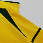Brésil 2002 — Texture et coutures