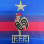 Maillot France 2004 domicile · Modèle rétro — Détail photographique de cette version